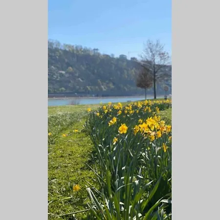 Appartement Comfortable New In #koblenz# Direkt Am Rhein