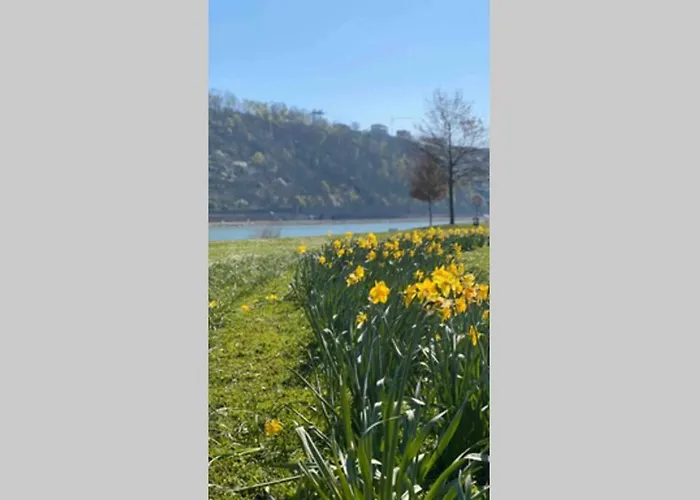 Appartamento Comfortable New In #koblenz# Direkt Am Rhein